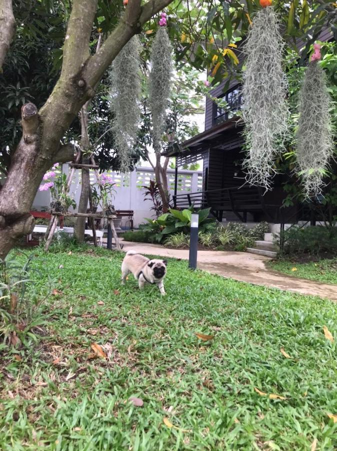 Baansuanklaiklungbangkrachao บ้านสวนใกล้กรุงบางกะเจ้า Phra Pradaeng Екстериор снимка